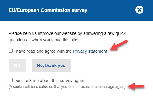 European Commission survey form with consent checkbox and Privacy Statement link highlighted